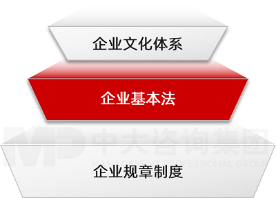 中大咨詢企業(yè)《基本法》建設(shè)