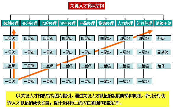 中大咨詢項目