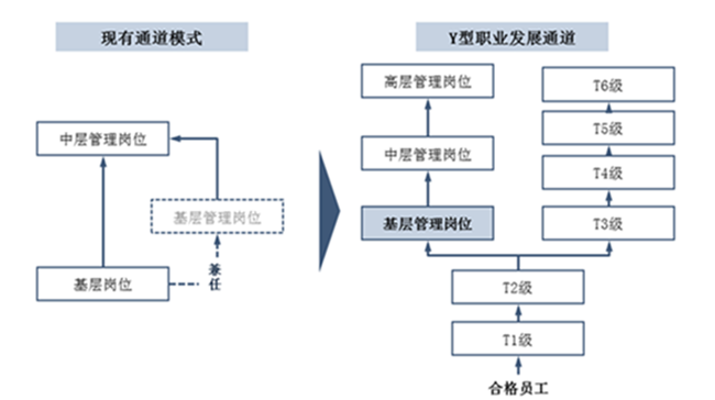 中大咨詢：打造多通道職業(yè)發(fā)展體系