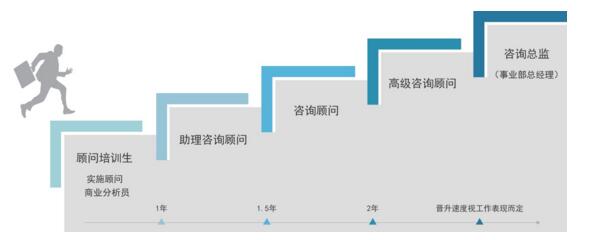 中大咨詢：職業(yè)發(fā)展