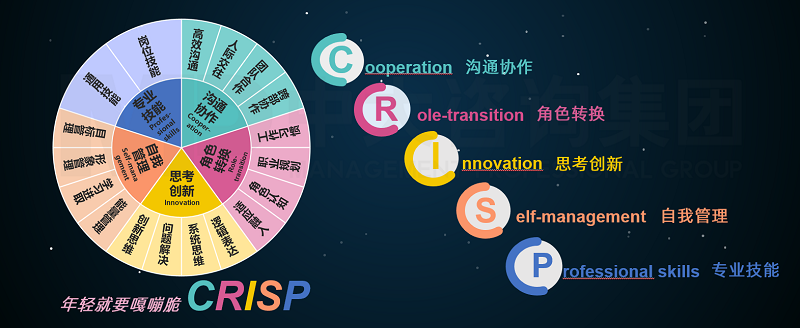 中大咨詢新員工CRISP能力素質(zhì)模型 