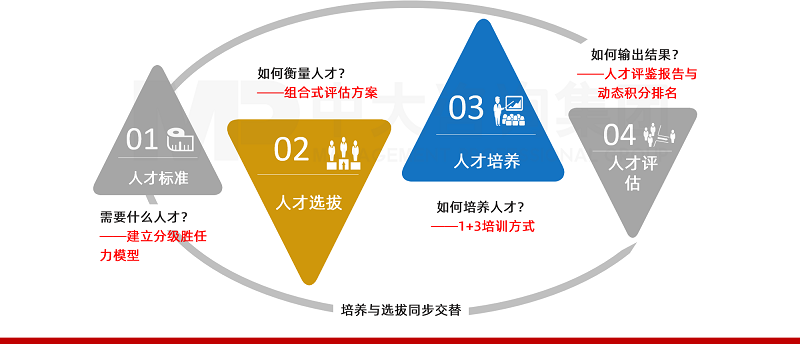 中大咨詢選-訓(xùn)雙驅(qū)動(dòng)建設(shè)企業(yè)人才庫