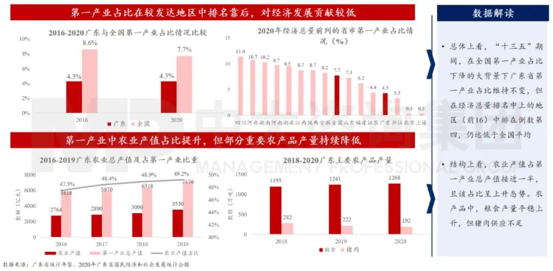 中大咨詢：廣東省第一產(chǎn)業(yè)保持總體穩(wěn)定