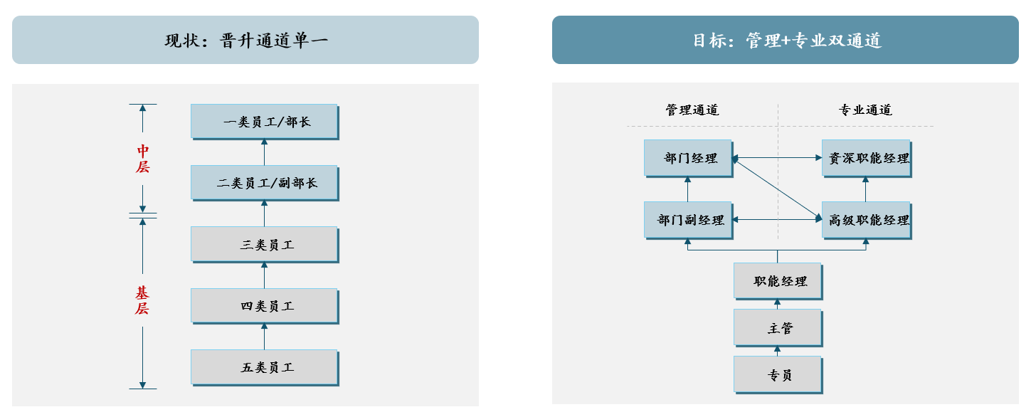  圖 3 打造“管理+專業(yè)”雙通道，中大咨詢整理