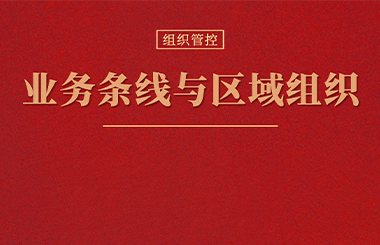 業(yè)務(wù)條線與區(qū)域組織間的“條塊管理”