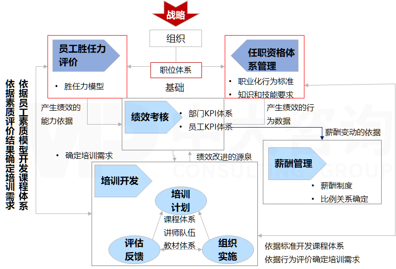 直播電商專項(xiàng)服務(wù)