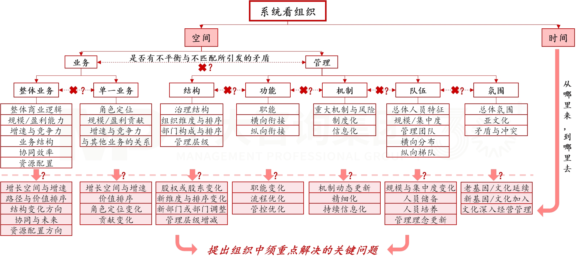 組織診斷