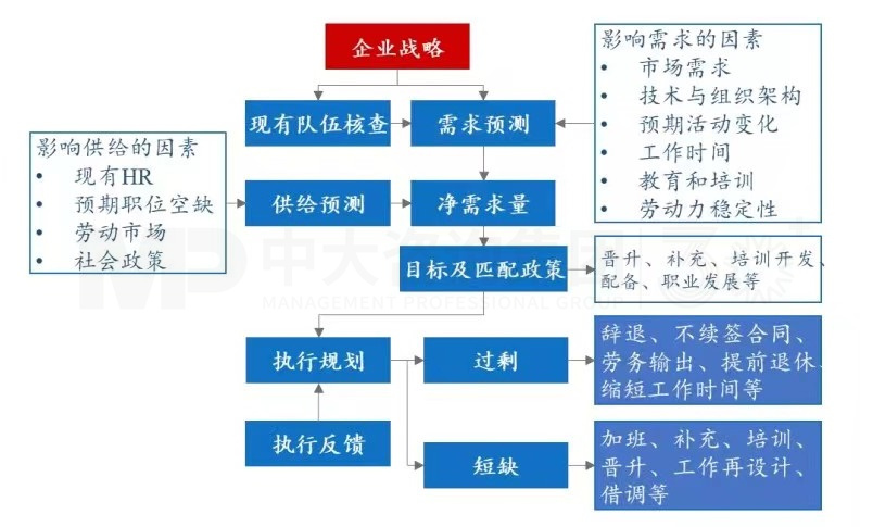 上下貫通，務(wù)實(shí)有序 丨 企業(yè)人力資源規(guī)劃步驟詳解