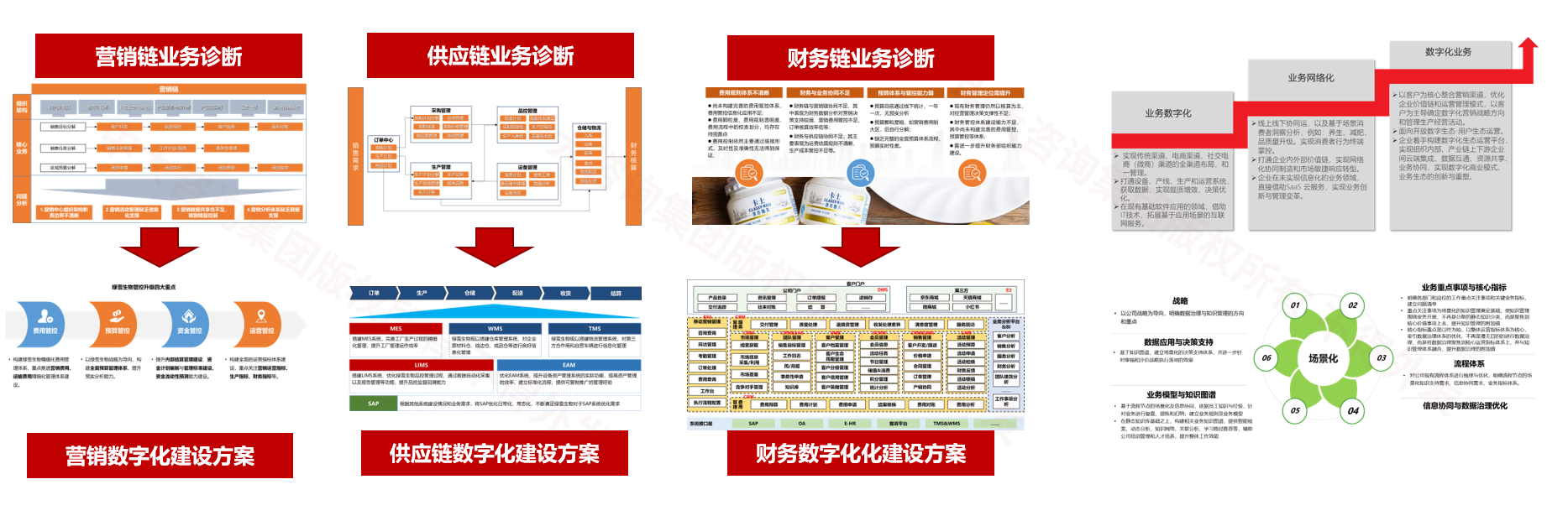 綠雪生物工程/卡士乳業(yè)數(shù)字化規(guī)劃